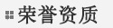 公司榮譽